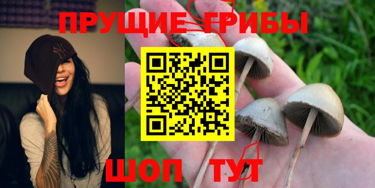 Псилоцибиновые грибы Magic Shrooms Спасск-Дальний