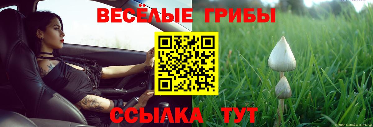 Галлюциногенные грибы Psilocybe  хочу наркоту  Спасск-Дальний  Вход с VPN  Галлюциногенные грибы Cubensis 